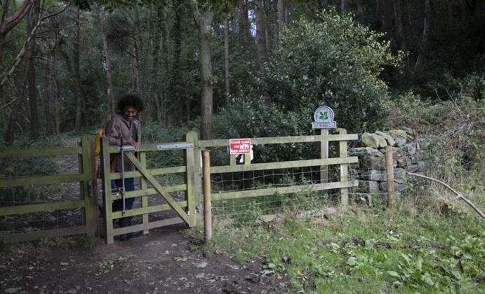A gate leading into woodland at Hayburn Wyke