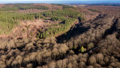 An aerial view of Wyre - image credit: Forestry England
