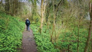 A man walking in a wooded area