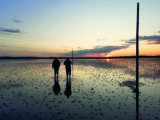 Check the tide times before making the crossing on foot over the causeway to Lindisfarne Island