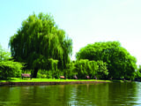 The river makes a tranquil centre for bustling Stratford-upon-Avon