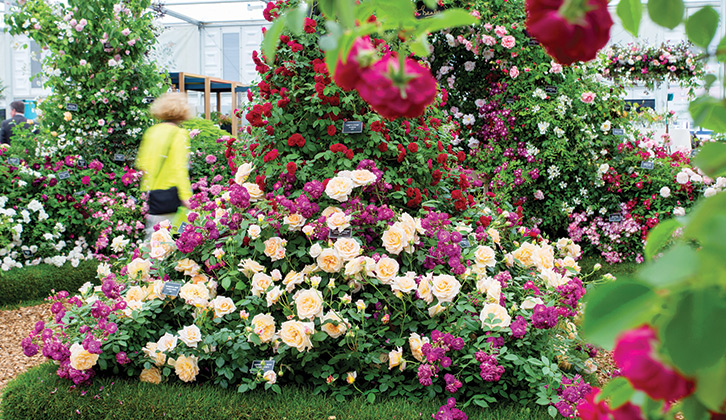 There’s no better time of year to see everything in bloom.