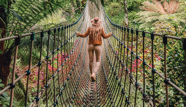 There’s one of the longest rope bridges in Britain at the Lost Gardens of Heligan