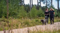 A dog being walked along a woodland trail