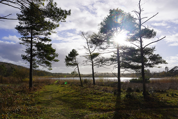 Gait Barrows NNR