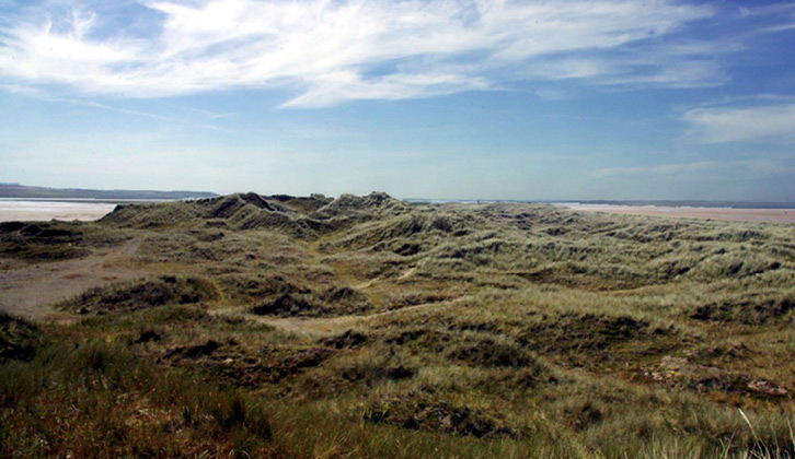 Lindisfarne NNR