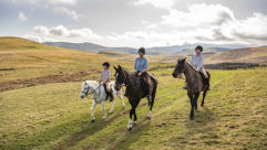 Three people riding horses in the countryside
