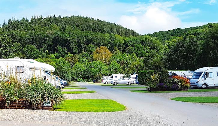 Caravans and motorhomes pitched by trees