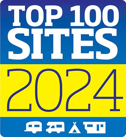 Top 100 Sites 2024