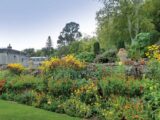 Plas Newydd gardens