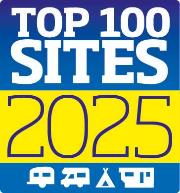 Top 100 Sites 2025