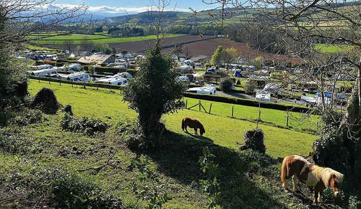 Horses grazing overlooking Parkers Farm Holiday park