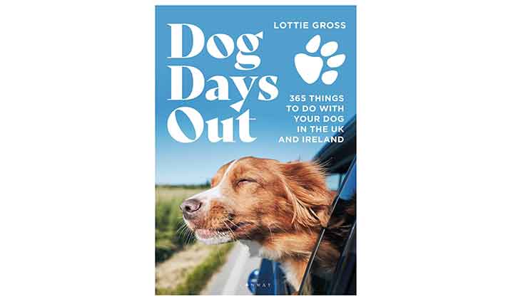 Dog Days Out