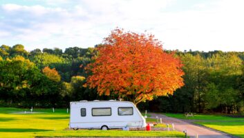 A caravan on a campsite beside an autumnal tree