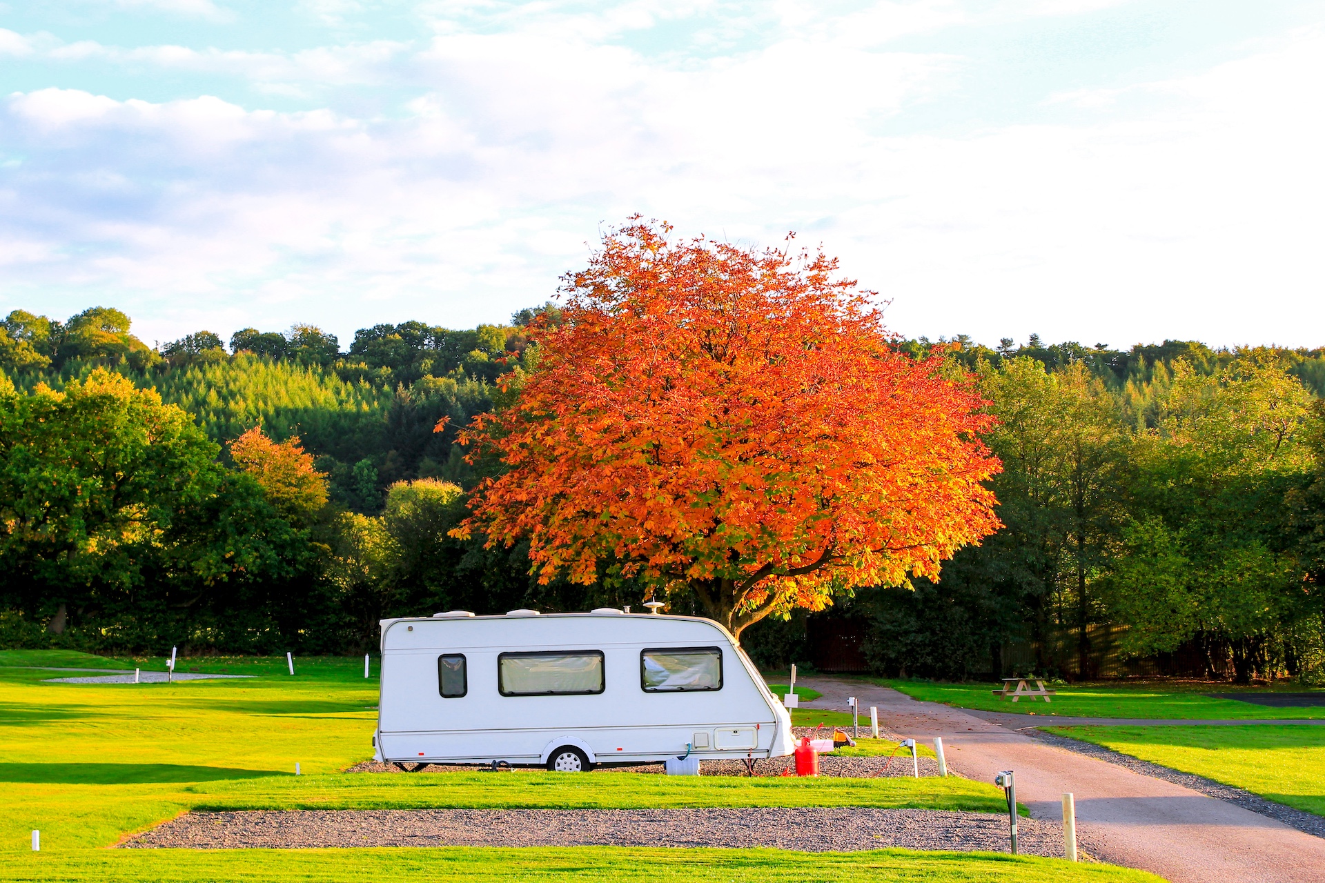 A caravan on a campsite beside an autumnal tree