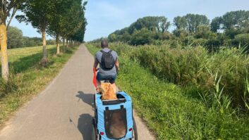 A man and his dog at Chateau des Tilleuils