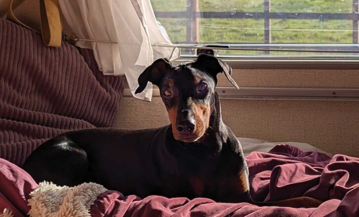 Arty on the bed