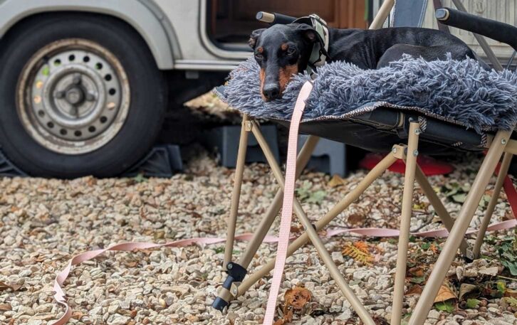 Arty on his longline