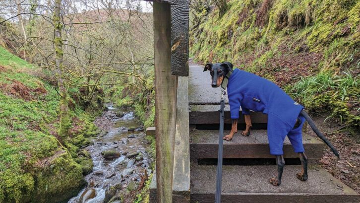 Arty wearing his waterproof fleece