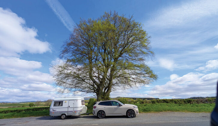 Lottie's Eriba parked by a tree