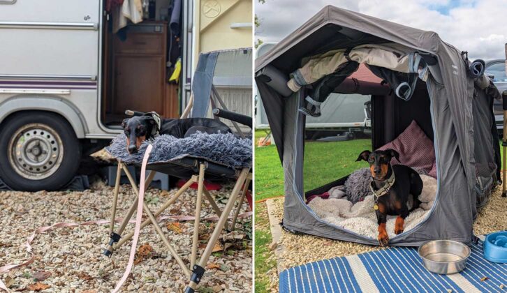 Arty on his long lead and in his Dometic kennel