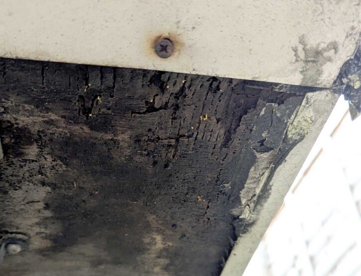 One of the rear corners in Penny